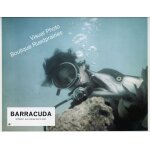 Barracuda : jeu de 12 photos d'exploitation cin�matographique - format 22, 5x28, 5 cm - de harry kerwin ...