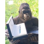 Beau stylo montblanc neuf