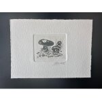 Belgique 1991 cob 2420 epreuve d'artiste proof 1er jour fdc champignon mushroom pilz funghi bolet a pied ...