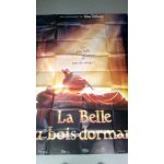 La belle au bois dormant