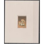 Benin 1985 mi. 419a epreuve de luxe proof champignon cepe comestible mushroom pilz steinpilz