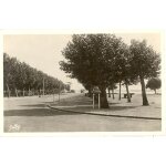 Blaye - avenue et all�es du bac (gironde) 1950