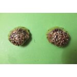 Boucles d'oreilles clips vintage