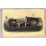 C'�tait la france : attelage de boeufs (ref 39)