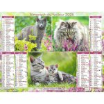 Calendrier du facteur 2026 - almanach mural chats elgants