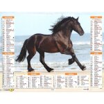 Calendrier du facteur 2026 - almanach mural chevaux et nature