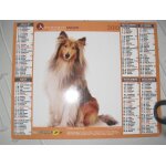 Calendrier du facteur