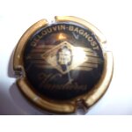 Capsule de champagne delouvin bagnost