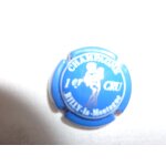 Capsule de champagne rilly la montagne