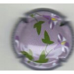 Capsule de champagne sans marque