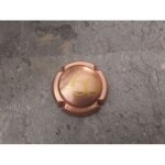Capsule de champagne vincent d'astr�e