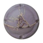 Capsule de champagne vranken n38