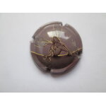 Capsule demoiselle de vranken grise