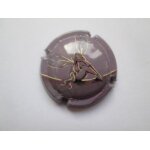 Capsule demoiselle de vranken violette