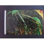 Carte auchan jungle mania n 133 papillon com�te m�le 3