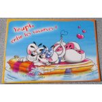 Carte de collection diddl mag 07 / 09 - youpi, enfin les vacances ! - 15x10. 5cm - diddl et diddlina ...