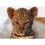 Carte double volet wwf motif b�b� tigre