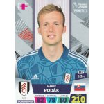 Carte foot panini - adrenalyn xl football - premiere league 2023 - n 155 - marek rodak - fulham