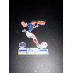 Carte pitch foot equipe de france samir nasri