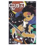 Carte plastifi�e - kimetsu no yaiba : demon slayer - nezuko et tanjirou (couverture manga, tome 1, anim�, ...