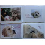 Carte postale, lot de 4 cartes postale animaux grand format 14x20 cm avec enveloppes, ifaw