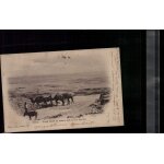 Carte postale algerie biskra grand desert du sahara pres du col des sfas en l'�tat sur les photos