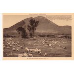 Carte postale ancienne / auvergne poetique / le puy de dome