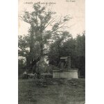 Carte postale ancienne, france, jura ( 39 ), cosges, un coin du ch�teau, moutons pr�s du puits