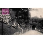 Carte postale ancienne, france, pyr�n�es atlantiques ( 64 ), biarritz, entr�e du tunnel, tamaris et hortensias ...