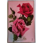 Carte postale ancienne, france, voeux, bouquet de roses Carte postale ancienne, france, voeux, bouquet de roses