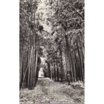 Carte postale ancienne de generargues / anduze, gard (30)