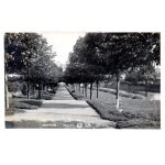 Carte postale ancienne, royaume uni, pays de galles, brecon, promenade