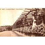 Carte postale ancienne, var ( 83 ), agay, corniche de l'esterel, route d'anth�or
