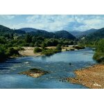 Carte postale d' anduze (gard) camping � le castel rose � (r�f. 010)