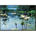 Carte postale bambuseraie de prafrance, 30140 generargues anduze, jardin aquatique : n�nuphar exotiqie ...