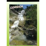 Carte postale de bocognano (corse) le voile de la marie
