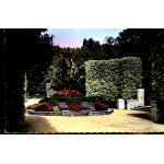 Carte postale de bourges (cher) jardin des pr�s - fichaux : les bananiers (r�f. 433)