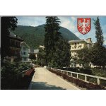 Carte postale de brides les bains (savoie) pont chamberlin sur le doron et parc thermal (r�f. 40)