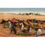 Carte postale campement de nomades algerie camps tentes