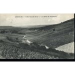 Carte postale de chablis (yonne) la c�te de vaud�sir