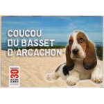 Carte postale coucou du basset d'arcachon - fondation 30 millions d'amis Carte postale coucou du basset d'arcachon - fondation 30 millions d'amis