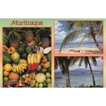 Carte postale couleur n 49 - martinique - plaisirs des tropiques - photo philippe poux