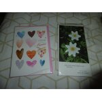 Cartes postales doubles avec enveloppes 11x17cm bonne fete maman lot de 2 serie 5 Cartes postales doubles avec enveloppes 11x17cm bonne fete maman lot de 2 serie 5