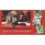 Carte postale double volet 30 millions d'amis - joyeux anniversaire Carte postale double volet 30 millions d'amis - joyeux anniversaire