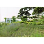 Carte postale, france, bouches du rh�ne ( 13 ), centre de r��ducation fonctionnelle de valmante, lavande ...