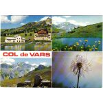 Carte postale, france, hautes alpes, col de vars, le refuge, lac, pissenlit - oblit�ration du 29 / 08 ...
