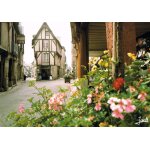 Carte postale, france, ille et vilaine ( 35 ), vitré, vieilles maisons rue de la poterie Carte postale, france, ille et vilaine ( 35 ), vitré, vieilles maisons rue de la poterie