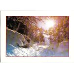 Carte postale, france, neige, ski, for�t, soleil, randonn�e - oblit�ration du 26 / 02 / 1991
