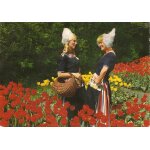 Carte postale la hollande en parure des fleurs
