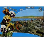 Carte postale du portel (pas de calais) une pensée du portel : la pêche aux moules Carte postale du portel (pas de calais) une pensée du portel : la pêche aux moules